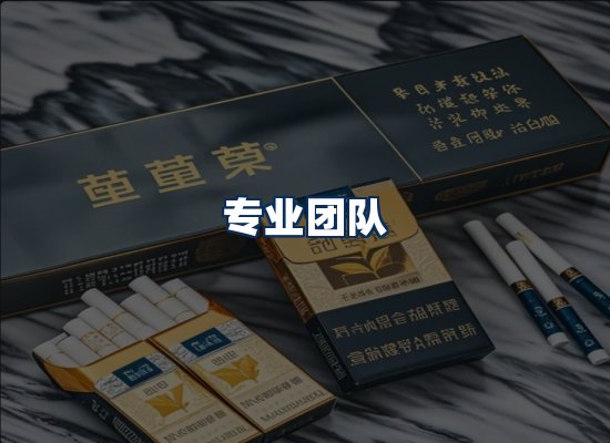 专业团队